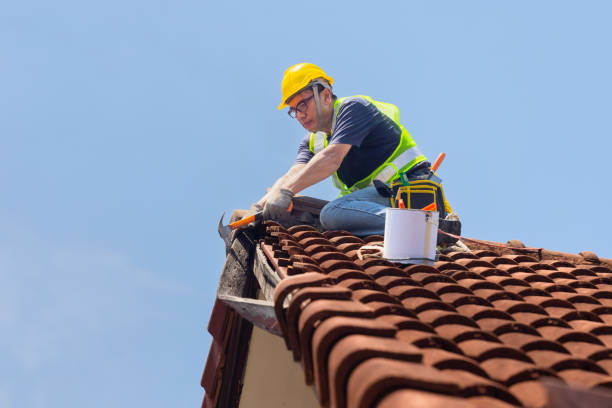 Best Asphalt Shingle Roofing  in Lacoste, TX